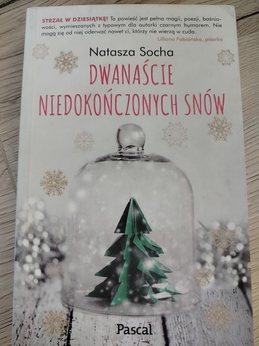 Dwanaście niedokończonych snów