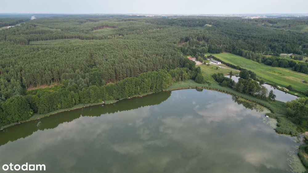 Działka w pierwszej linii brzegowej jeziora - 1,41 ha / Lubrza - Widok 4