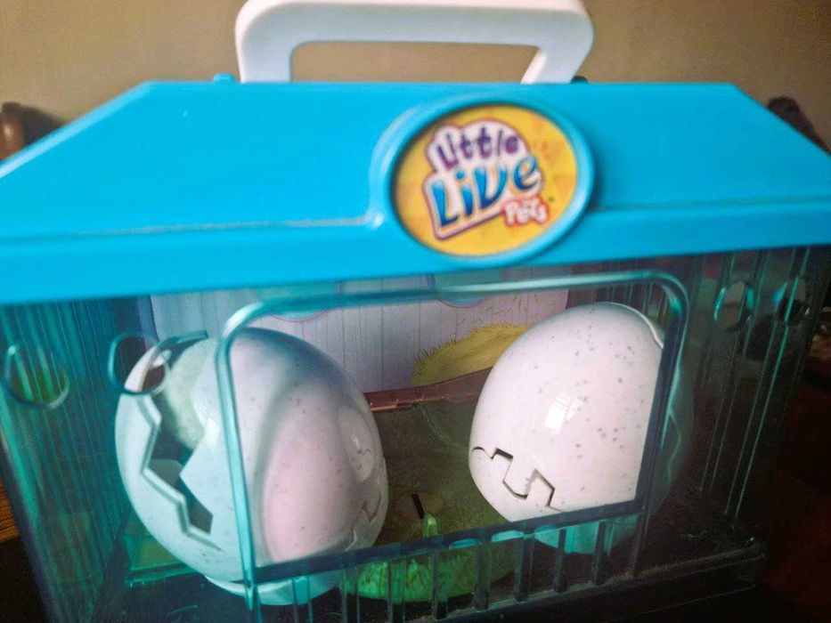 Little Live Pets курча в яйці 2 штуки + клетка переноска: 300 грн