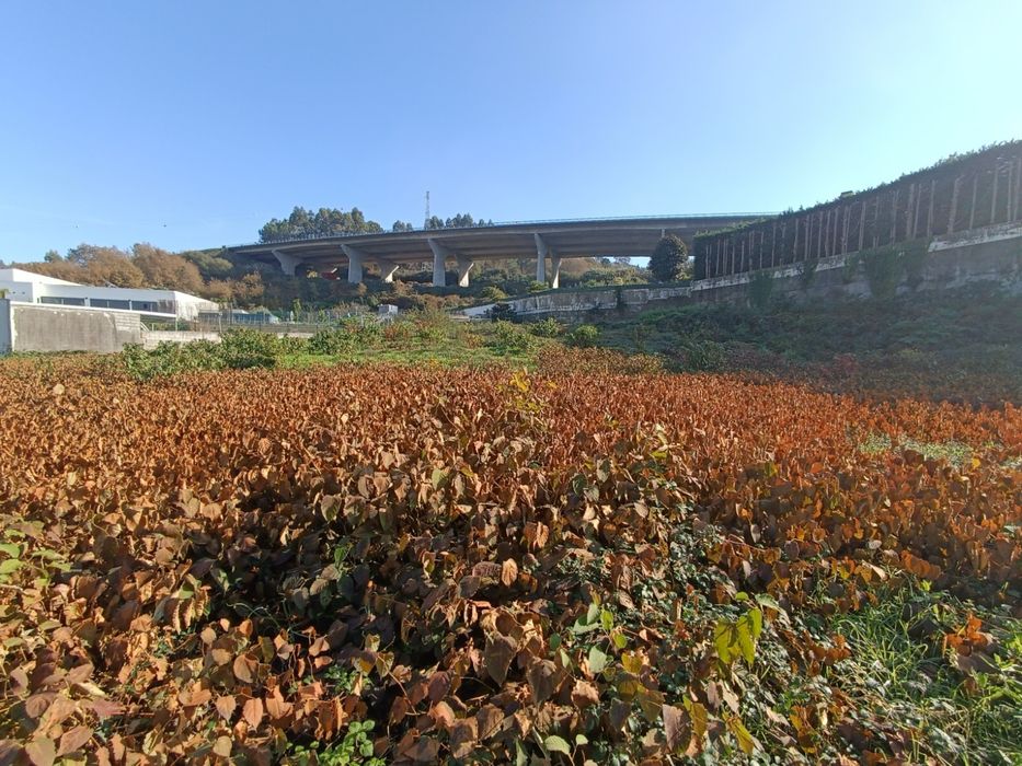 Terreno Urbano Serzedelo | Guimaraes