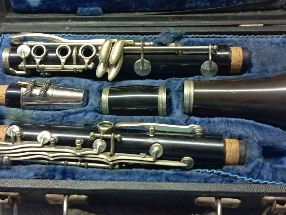 Porządki domowe Stary instrument