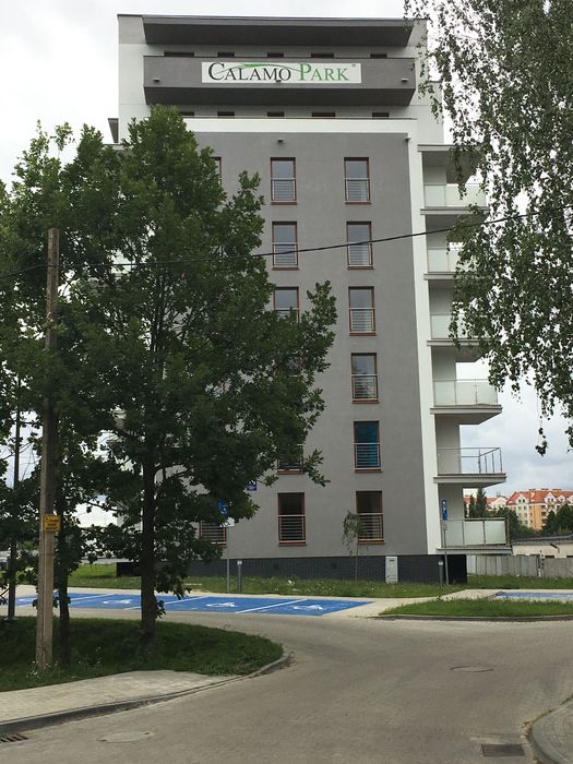 Zdjęcie 7