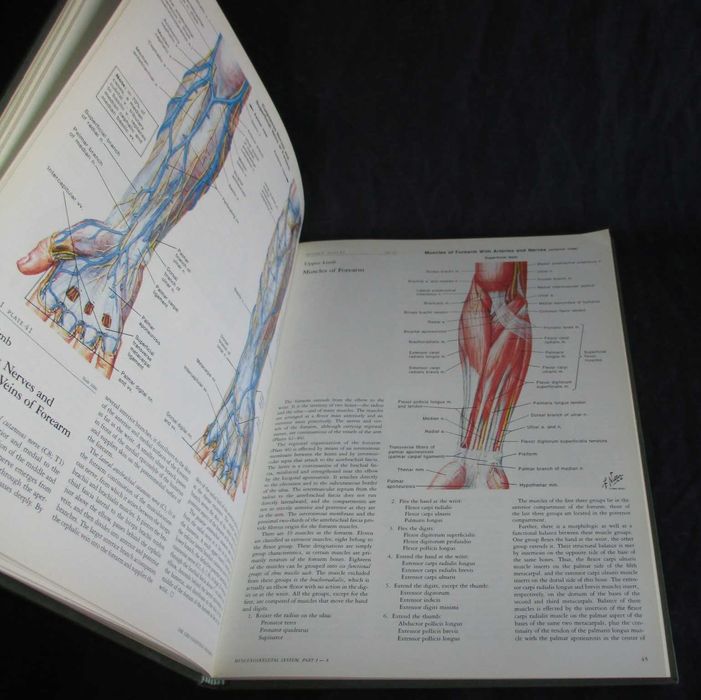 Livro Ciba Collection Of Medical Illustrations Musculoskeletal System