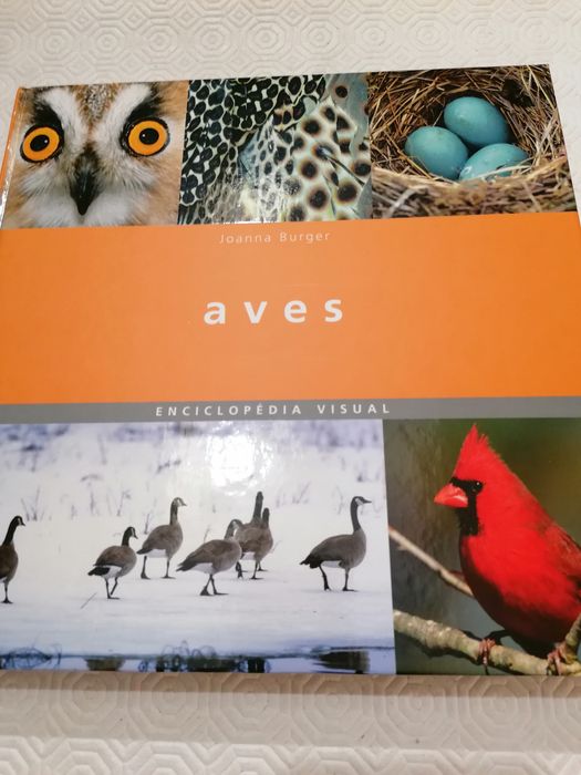 Enciclopédia Visual