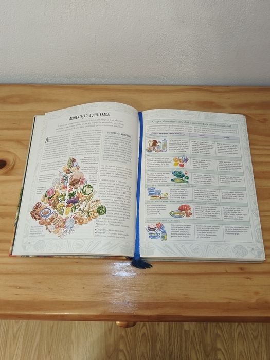 Alimentos Bons e Alimentos Perigosos