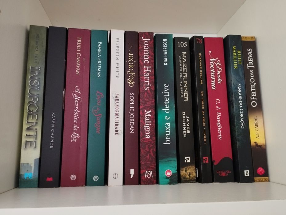 Livros de ficção/fantasia -diversos