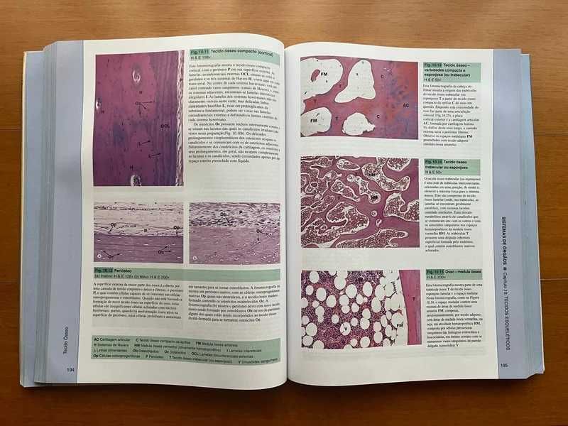 Histologia Funcional - Texto e Atlas em Cores