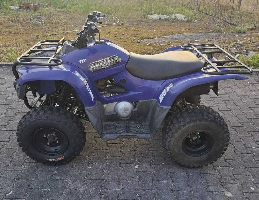 Moto4 Yamaha Grizzly 300 (14)
