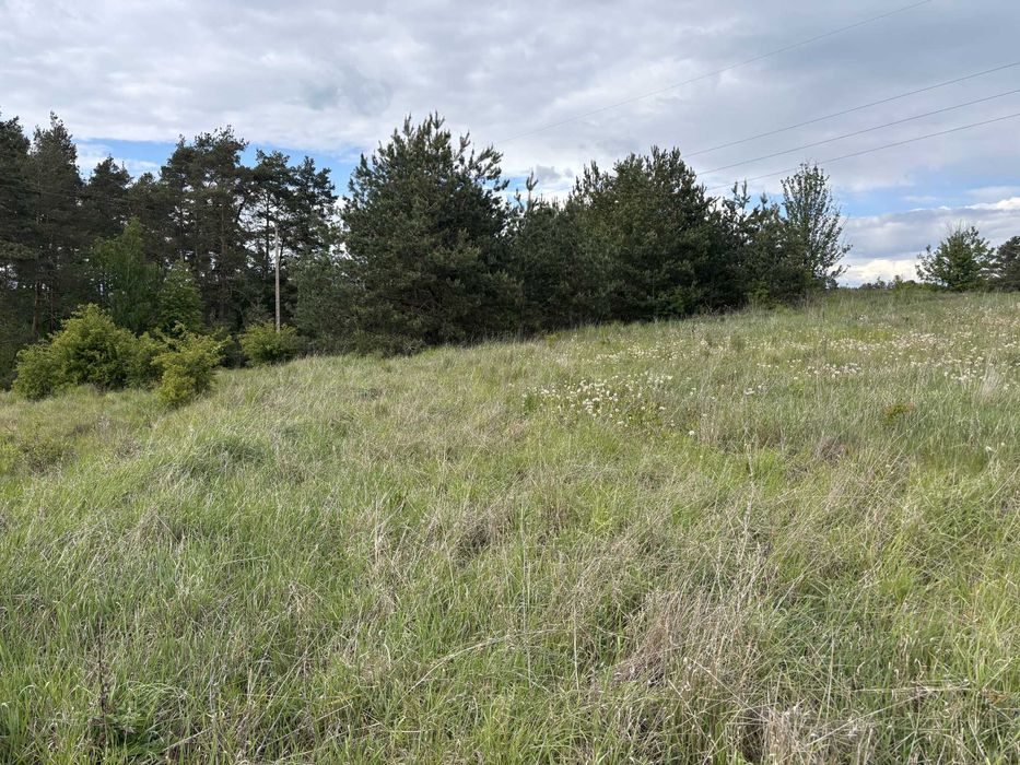 Ostatnie Działki Chraboły, gmina Dobrzyniewo Duże - Widok 5