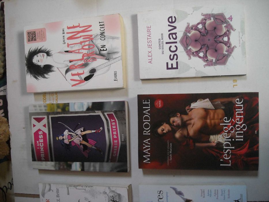 Livros romances diversos juvenis e adultos frances novos 20 titulos