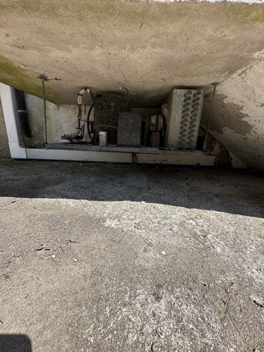 Arca frigorifica de laticinios