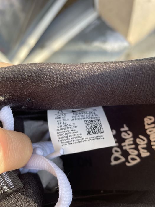 Nike Dunk SB Pro Wasted youth 42