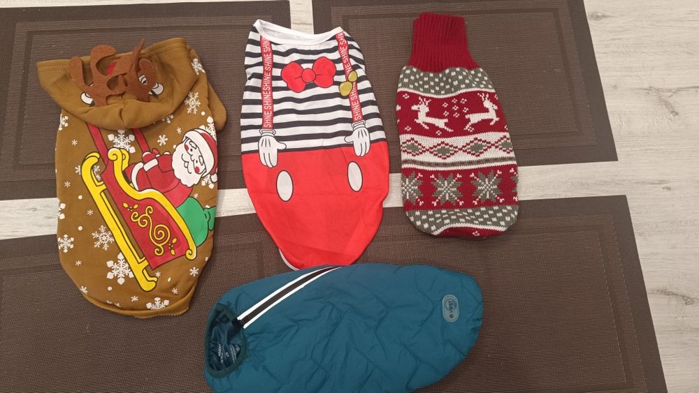 Одяг для кота або песика