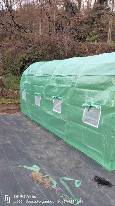 Estufa, hortaliças, plantas