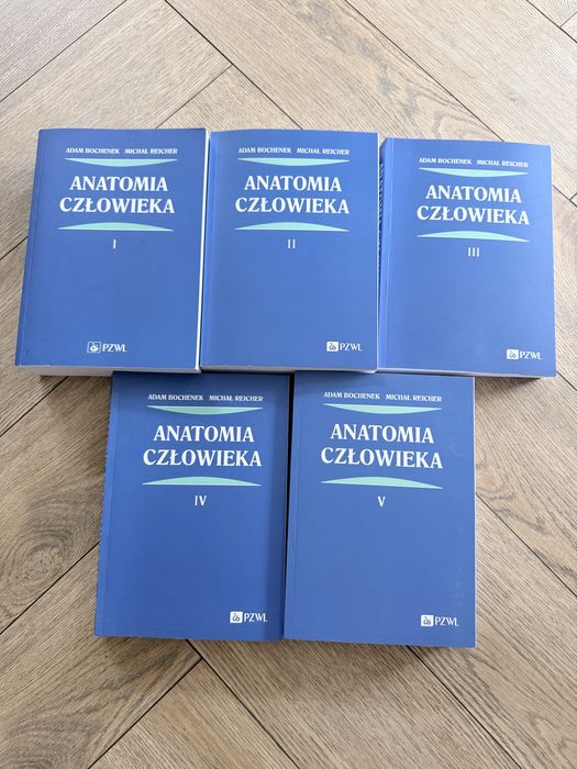 Anatomia człowieka Bochenek Reicher 1-5