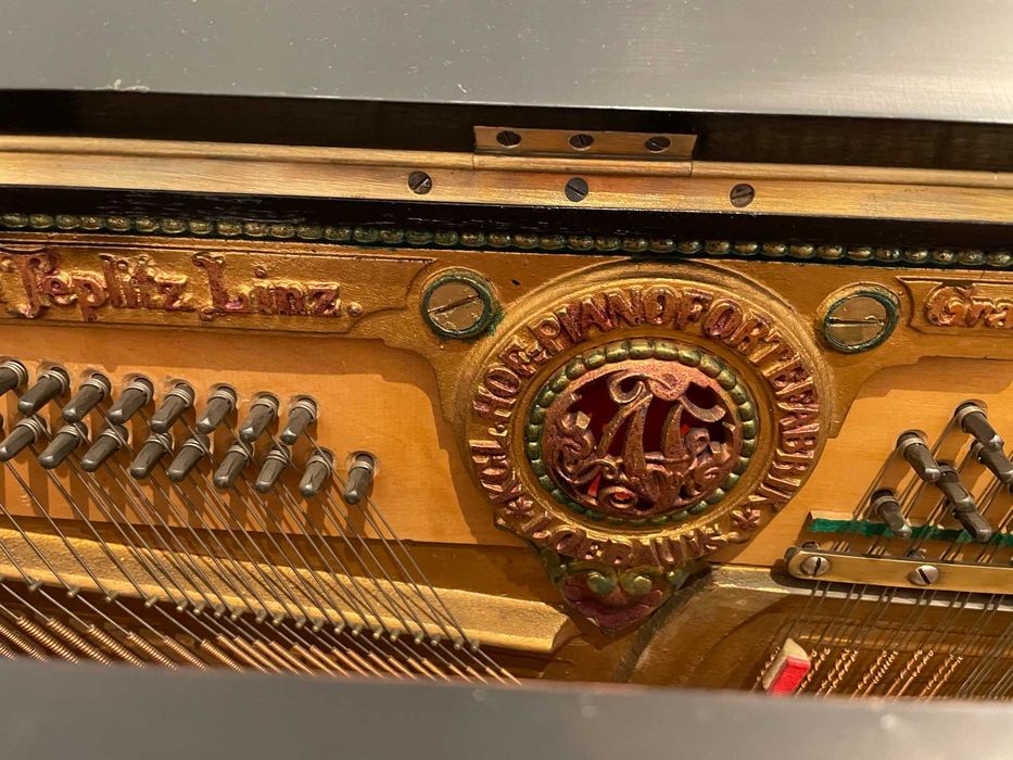 Pianino z duszą + ławeczka gratis :)