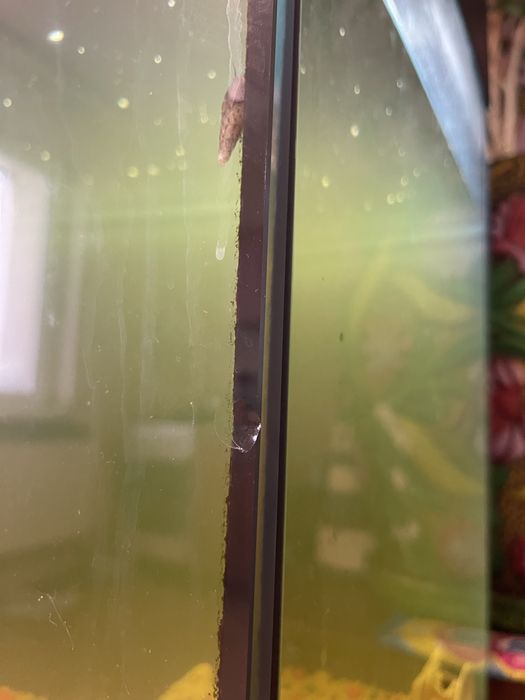 Акваріум 200л київ самовивіз