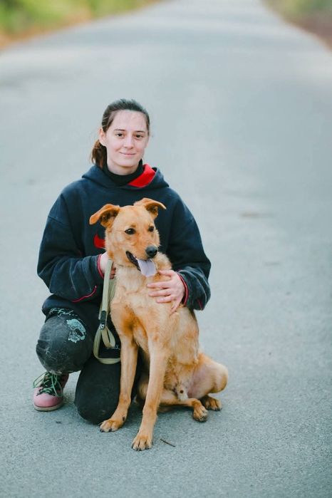 Пропав пес! Шукаємо! Втік під час обстрілів!