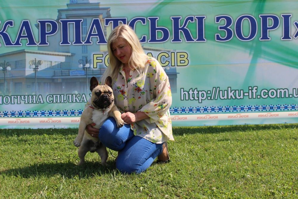 Титулований кобель для продовження роду!Ксу FCI