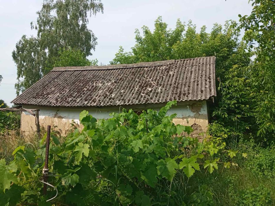 Продам земельну ділянку (дачу)