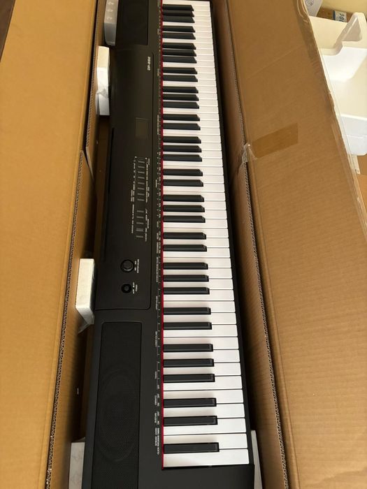 Pianino amazon basic DP-882 digital