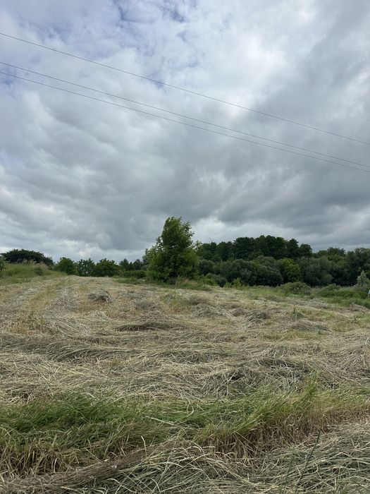 Продається земельна ділянка в Щітках
