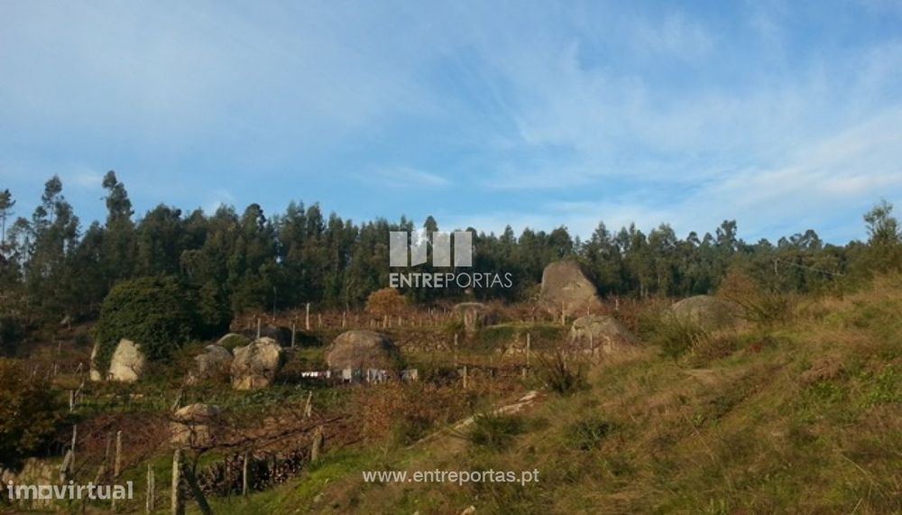 Land for Sale, São Martinho de Sardoura, Castelo de Paiva