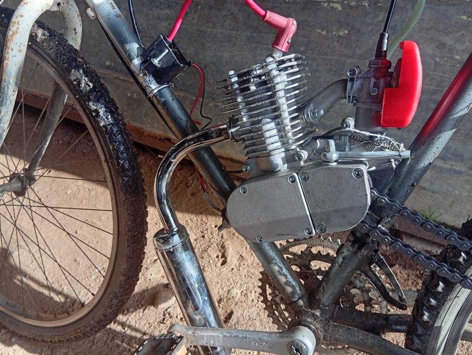 Bicicleta motorizada 110