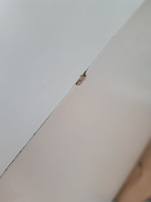 Szafka nocna ikea malm