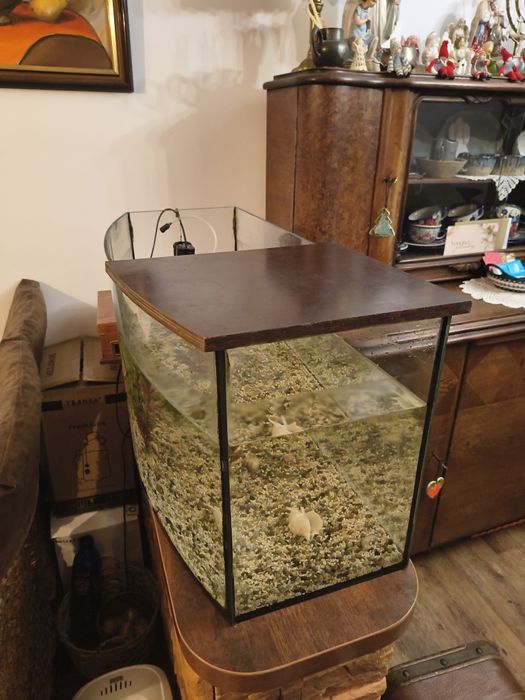 Akwarium 80 litrów w stanie dobrym