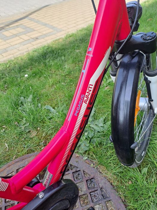 Rower 20cali Pegasus avanti