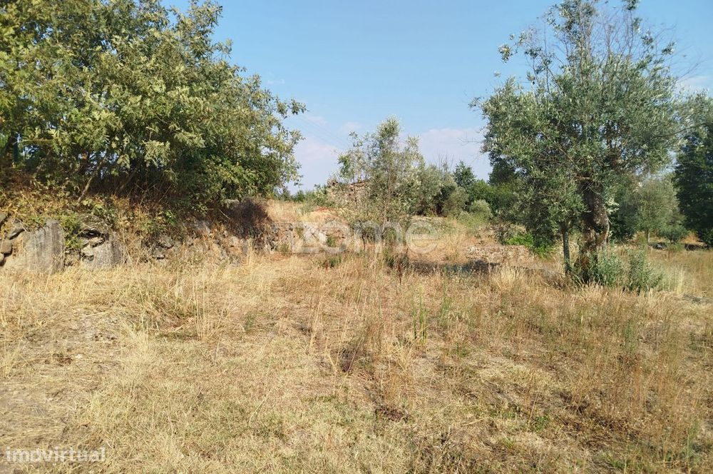 Terreno, Santiago de Cassurrães e Póvoa de Cervães