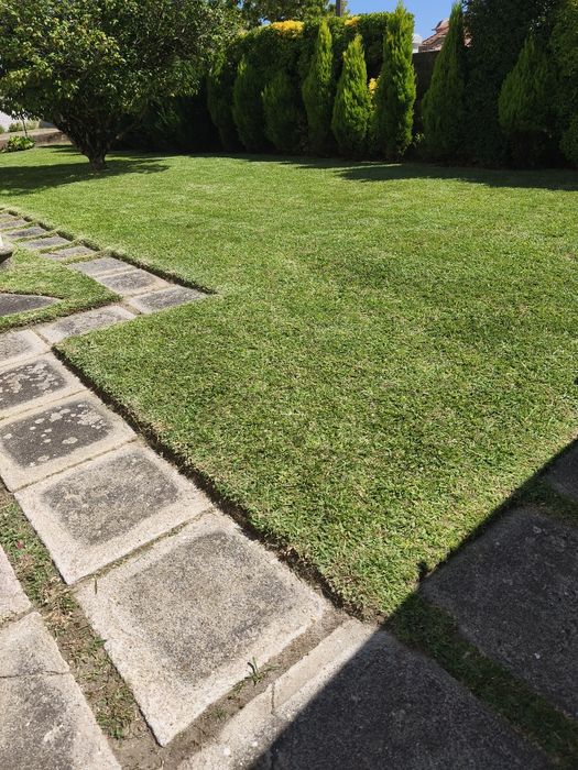 Serviços jardinagem