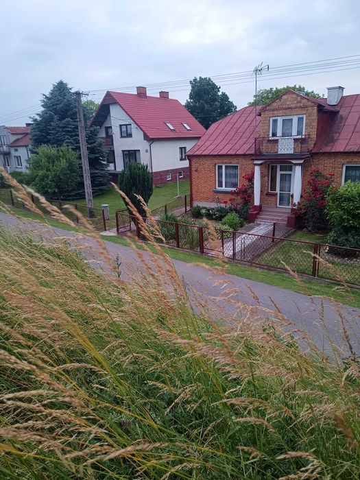 Zdjęcie 4