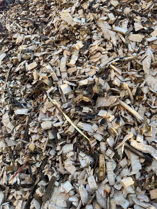 Zrębka trociny do ściółkowania na rabaty ścieżki, świeża, b. ładna