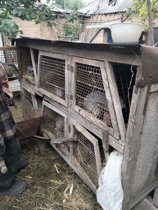 Продам клетки для кроликов б.у.