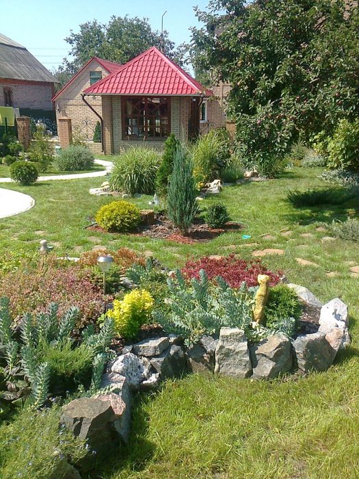 Професійний догляд за насадженями. Озеленення