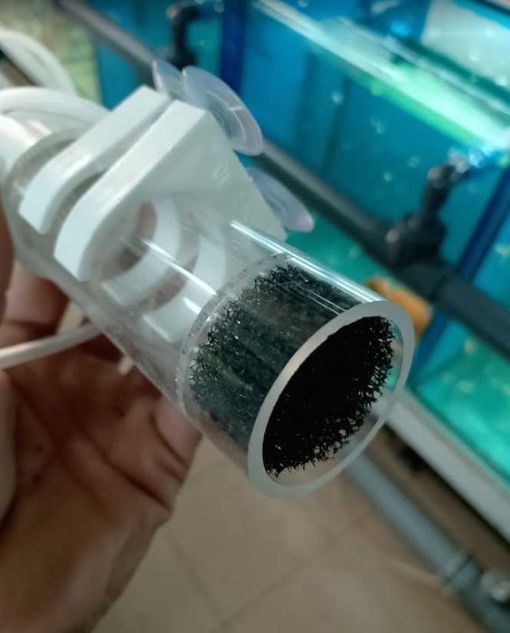 Incubadora de ovos de peixes