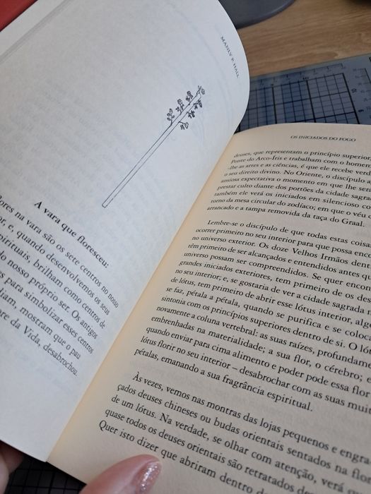 Livro "Os Iniciados do Fogo"