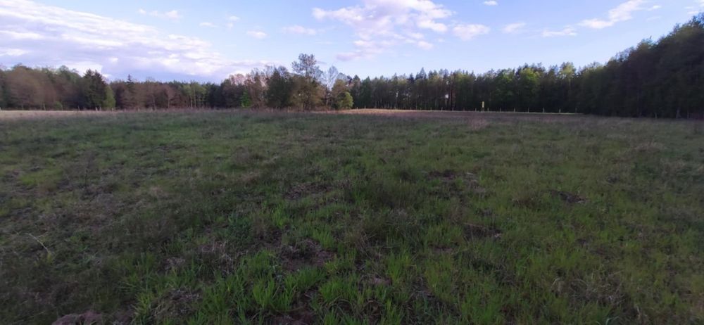 Działka 3001 m² z możliwością zabudowy w Piławie. - View 5