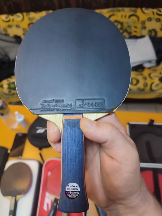 Butterfly Mizufani Apolonia Franzisca zlc Fan Zhendong  Petr korbel