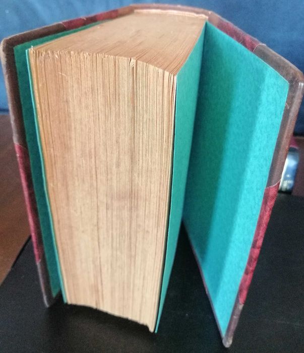 Vasco Botelho de Amaral - a lingua inglesa e a vida em londres