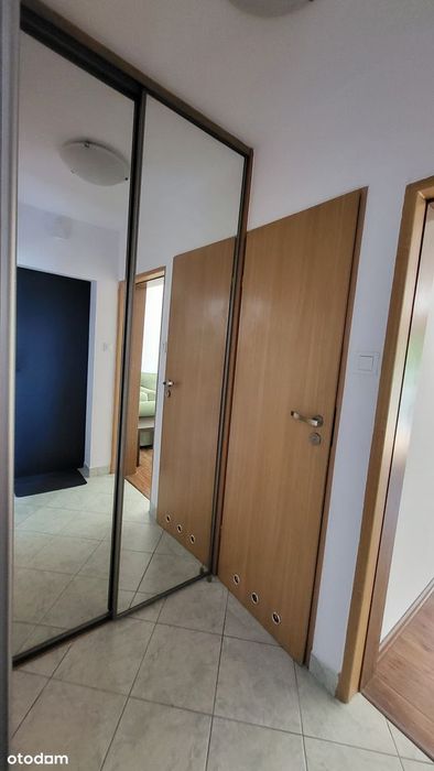 2 pokoje, słoneczne, przy Rynku i UWr, bezpośrednio - Widok 6