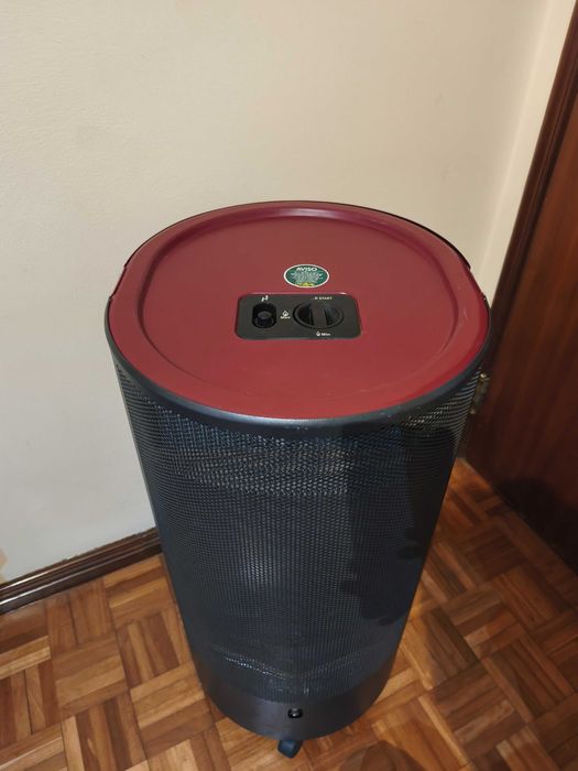 Aquecedor a Gás botija