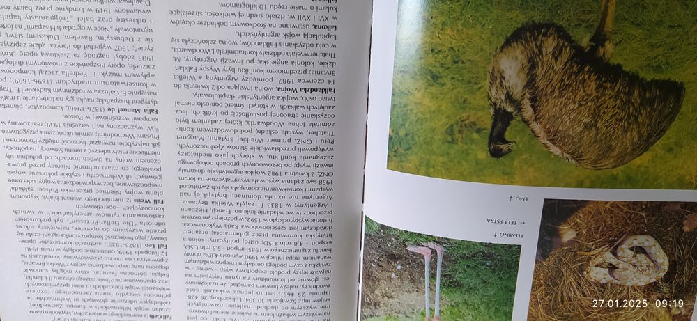 Popularna Encyklopedia Powszechna