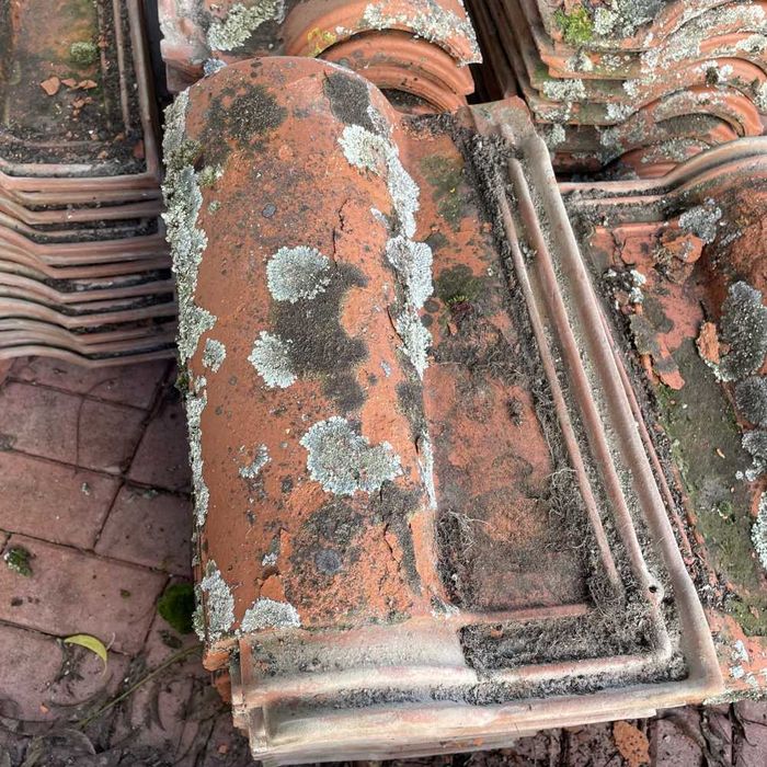 200 Telhas usadas modelo exclusivo lusoceram