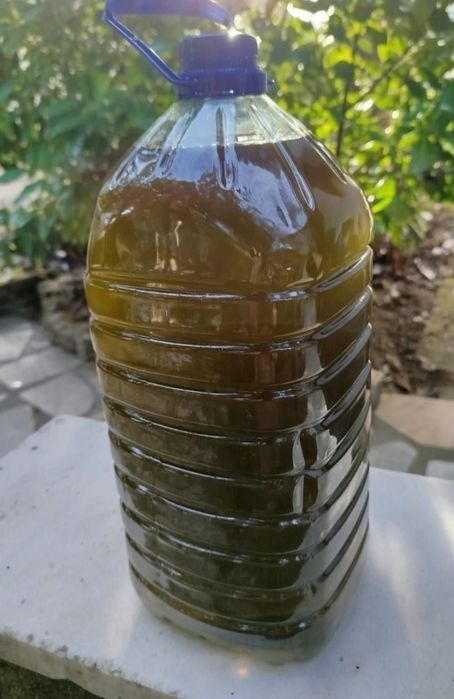 Azeite puro de Trás os Montes