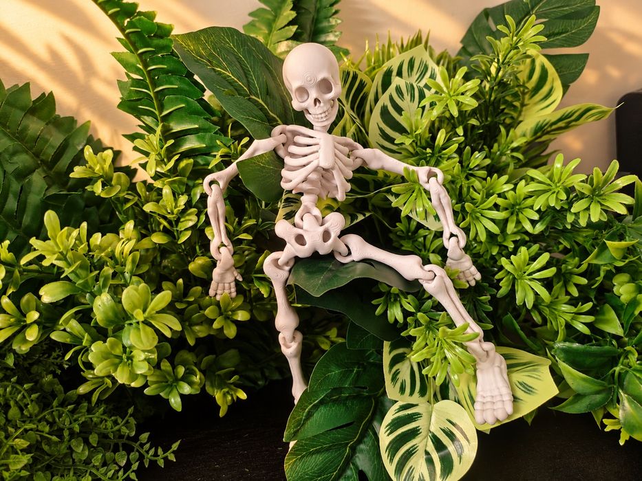Skeleton de brinquedo flexível