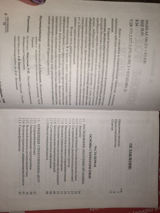 Волновые процессы в живом: Основы стереогенетики и физиологии мышления