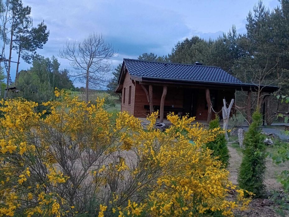 Domek parterowy z sauną jacuzzi na wyłączność.  Blisko Lasy , Jeziora,